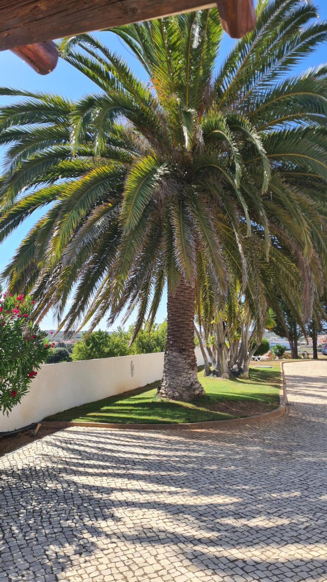 Residence Les Arcades Almádena Dış mekan fotoğraf